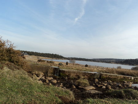 tarte aux poireaux cantal
