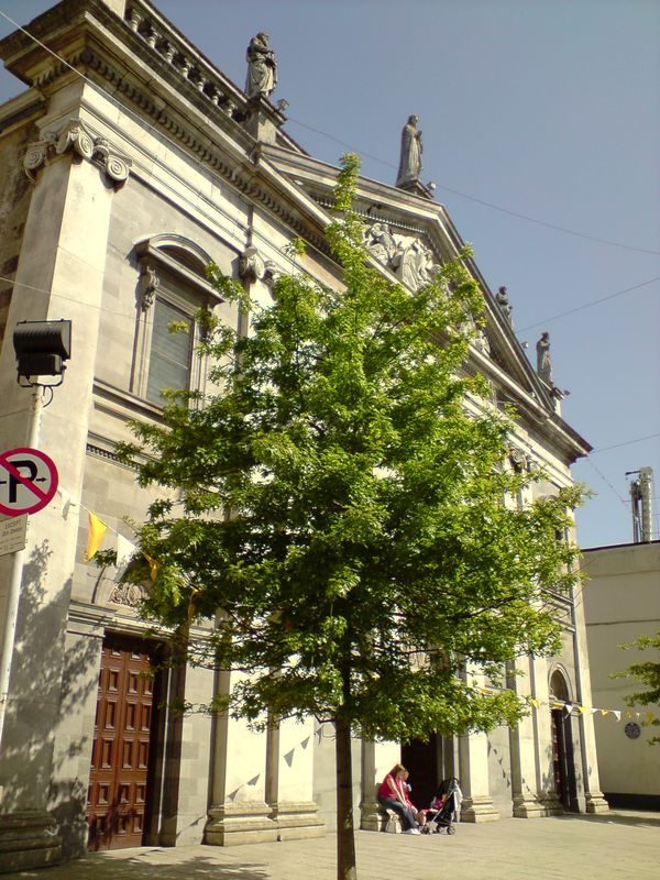 P300509_16