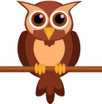 owl-2145244_960_720 - rogné