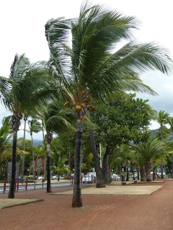 P1050519_bis