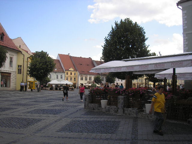 P7130218