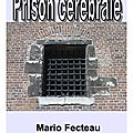 Prison cérébrale de <b>Mario</b> <b>FECTEAU</b> 