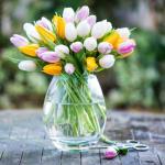 springtime_tulips