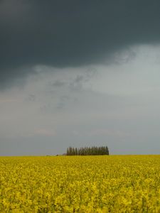 A14