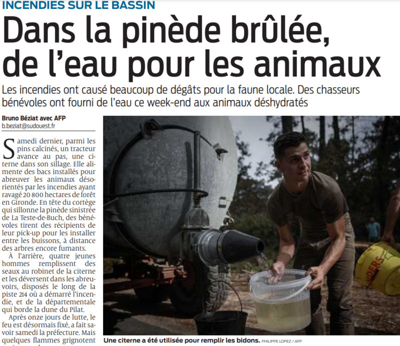 2022 07 25 SO dans la pinède brûlée de l'eau pour les animaux