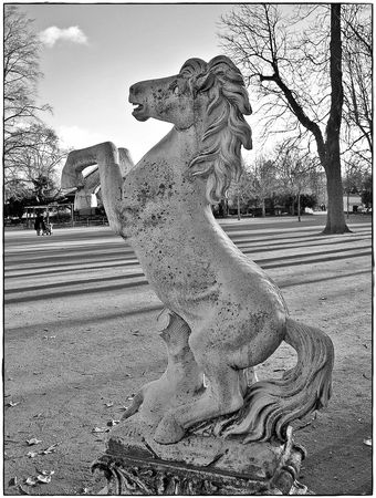Statue_cheval