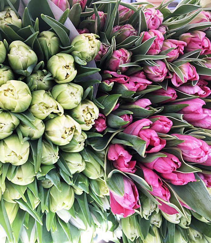 fleurs-tulipes-printemps-soleil-ma-rue-bric-a-brac