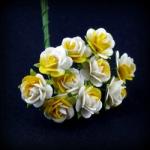 roses-bicolores-jauneblanc