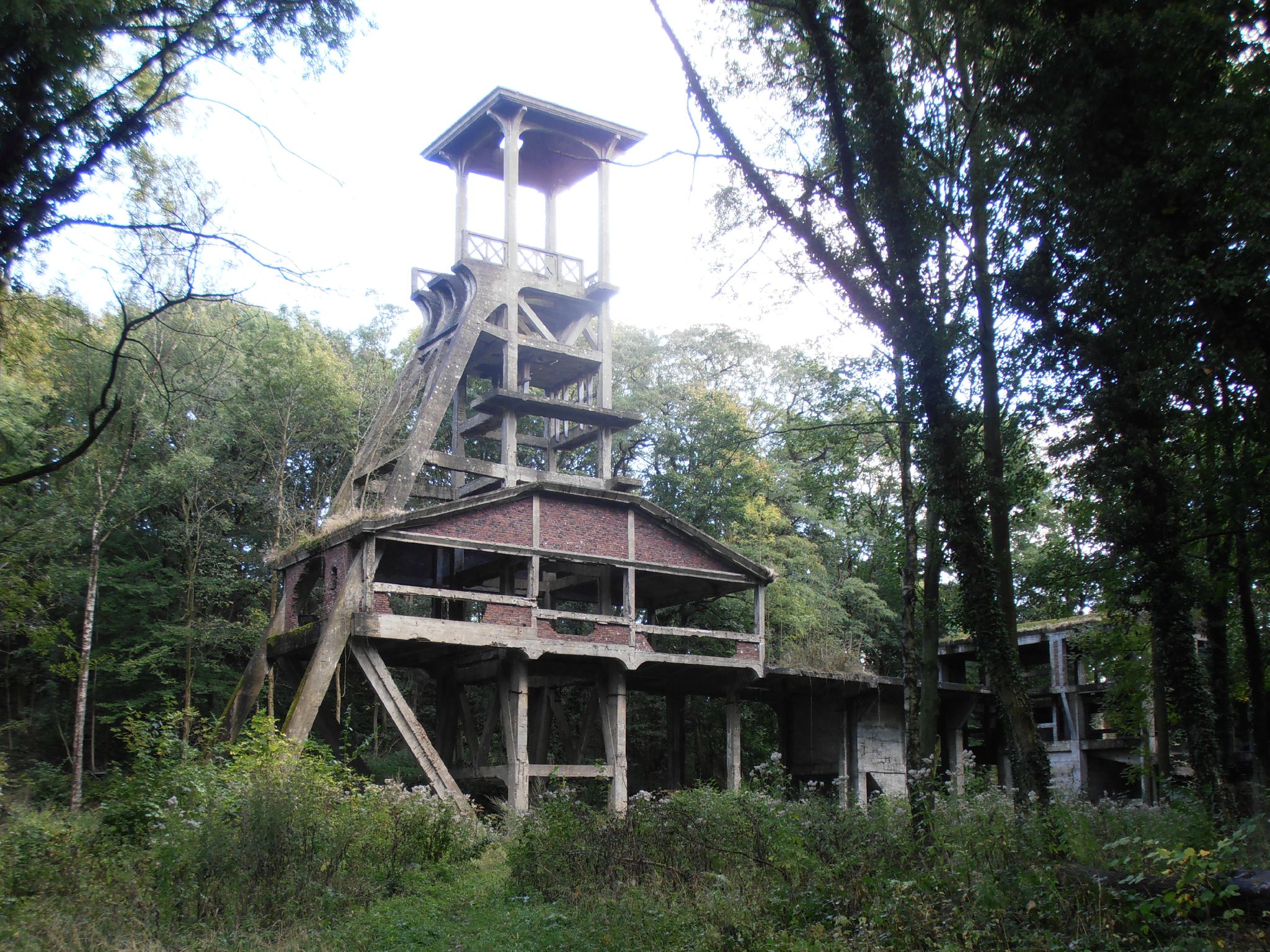 Sauwartan - 2