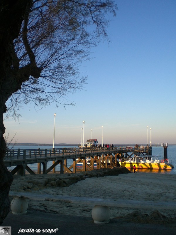 Banc face à la mer en Arcachon