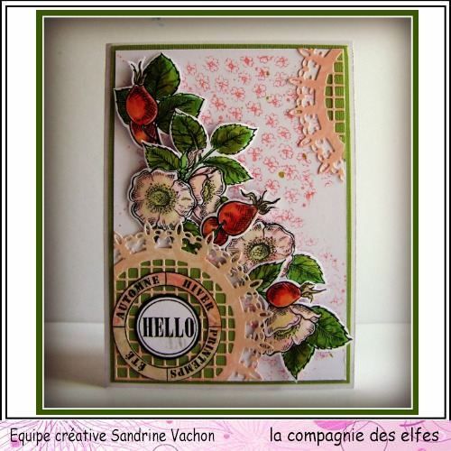 Carte florale DT LCDE (1)