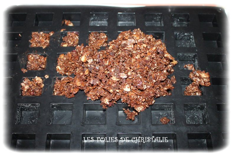 Granola 6