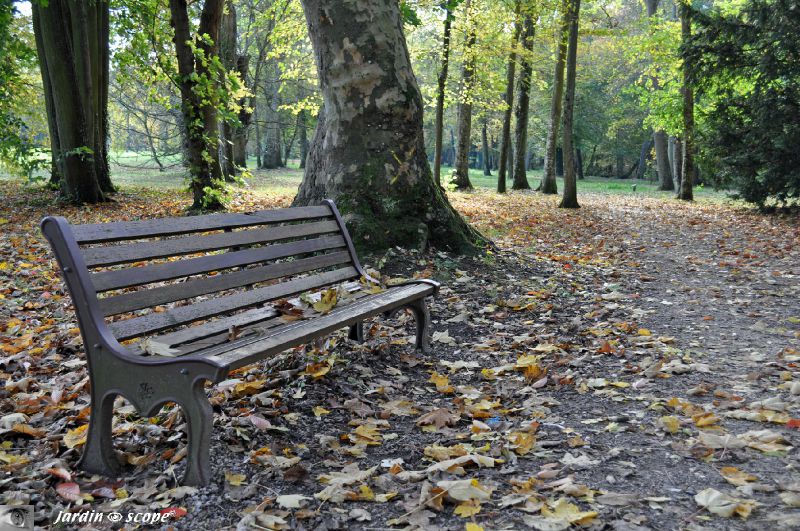Banc dans les bois de Chateauneuf-sur-Loire (45)