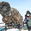 Des scientifiques russes découvrent un <b>mammouth</b> avec son sang