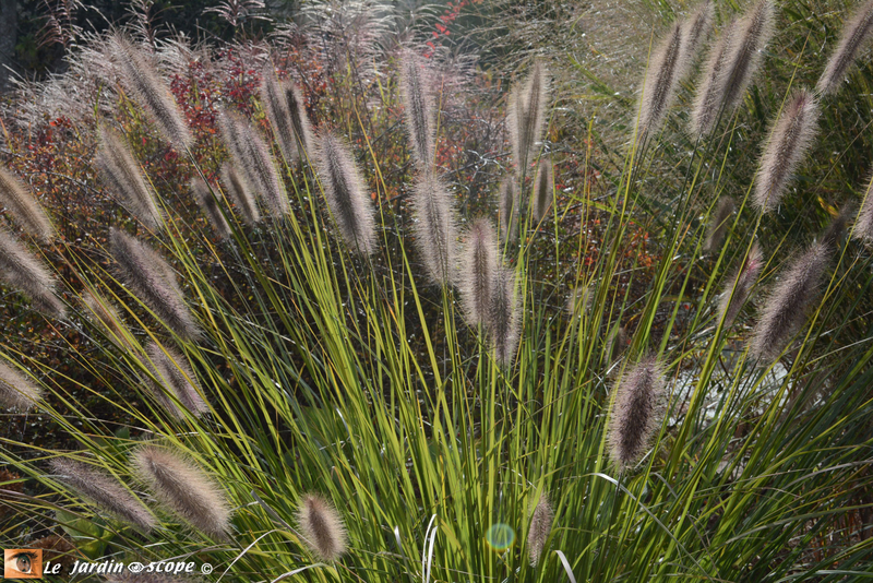 PAT_9011-Berville