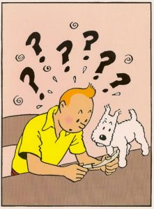 Tintin Mes interrogations