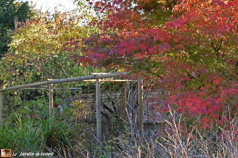 Les nouvelles pergolas du Jardin d'André Eve