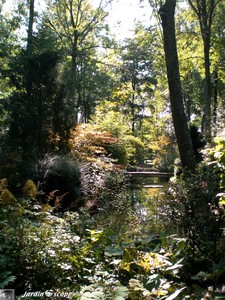 7381_effet_perspective