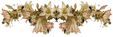 barre_lys