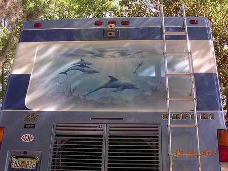 Dolphin_Mural