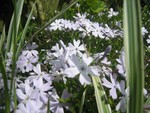 jardinage_003