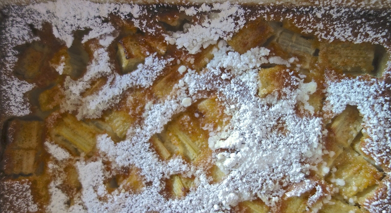 clafoutis légèrement vanillé à la rhubarbe