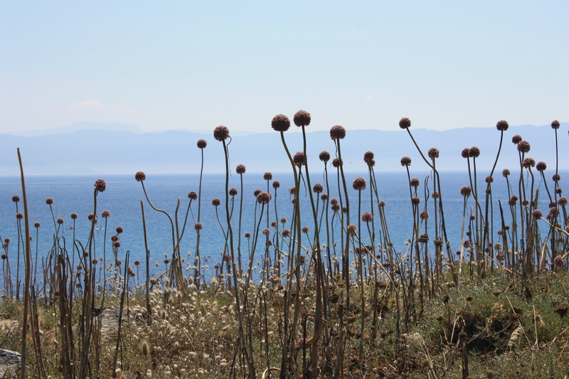 Pointe de la parata, Ajaccio - Juillet 2013