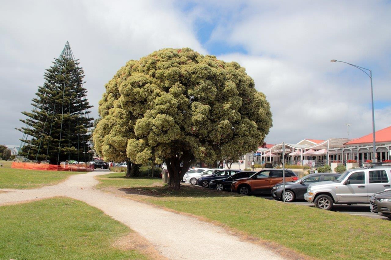 2019-12-10e Apollo Bay 67a