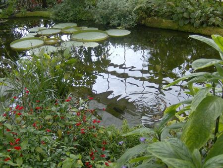 jardins suspendus 014