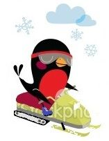 stock-illustration-12747716-birds-winter-sport - Copie