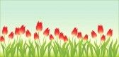 18972464-fond-floral-avec-des-tulipes