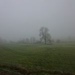 2012-12-014