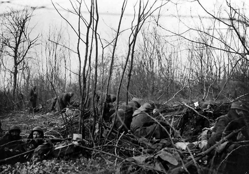 Bois des Caures1