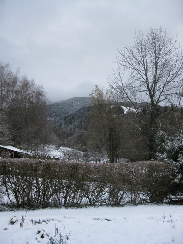 Arvillard 30 JANVIER 2015 005