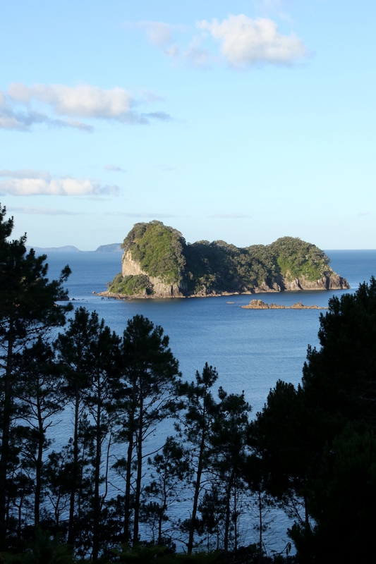 4W7A7667 Hahei Cathedrale Cove
