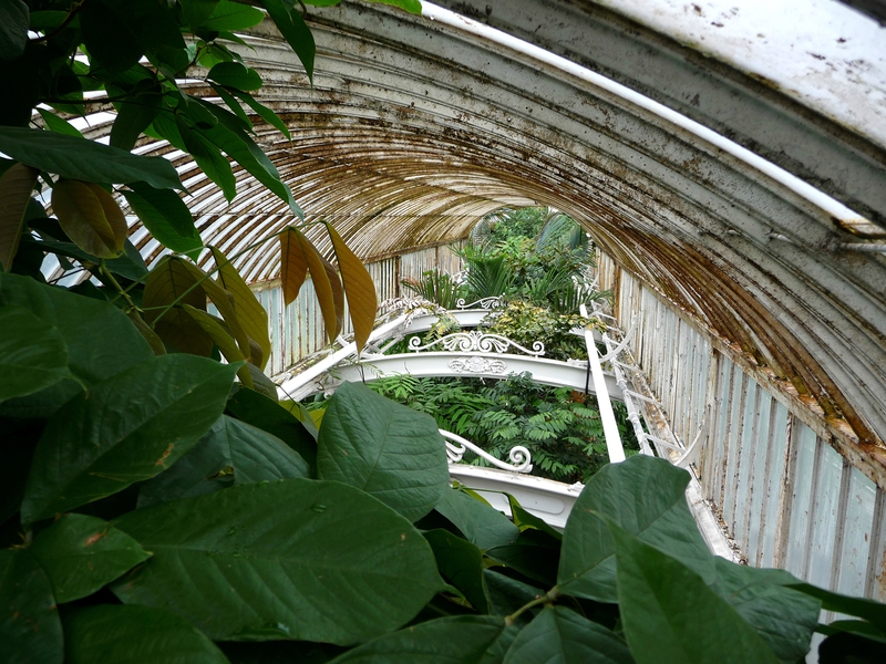 Palm House à Kew