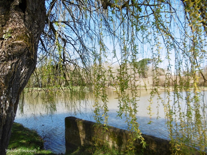 Lac du Houga 210318