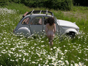 Daisies_and_the_2CV_by_Tittch
