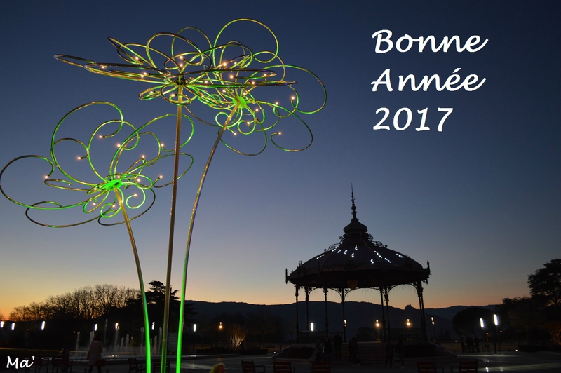 Bonne_annee_2017
