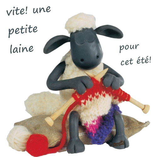 tricot_mouton