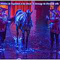 L'Histoire de l'équitation et du cheval : Traité de <b>dressage</b> du Cheval de selle 