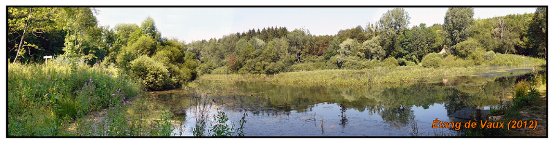 Etang_de_Vaux__2012_