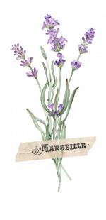 Flowers 1