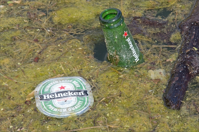 ville déchets bouteille bière étiquette flotte 300517