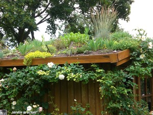 Toit végétalisé de la cabane de jardin