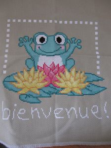 Grenouille_bienvenue0012