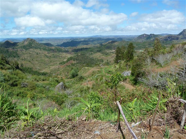 P1040784
