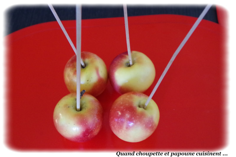 pommes d'amour-2441