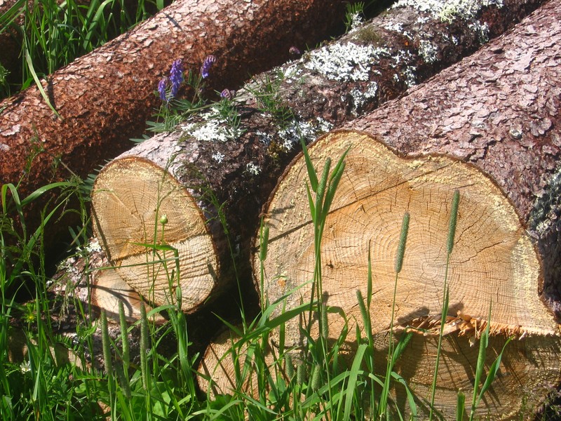 Tas de bois Val-Saint-Gilles