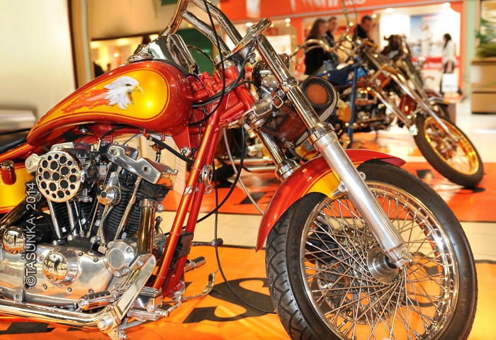 Harleys_CopyrightTasunkaphotos2014_07